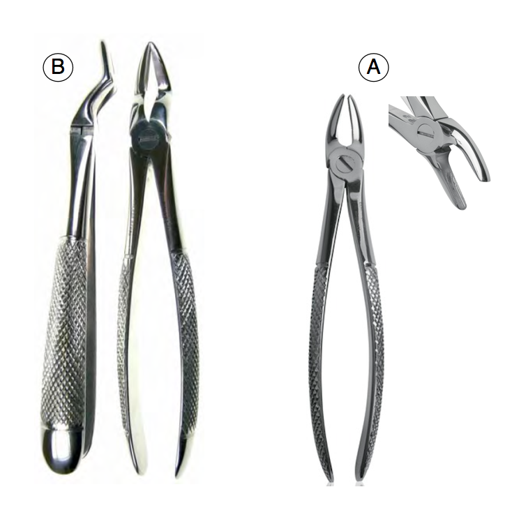 Forceps dental