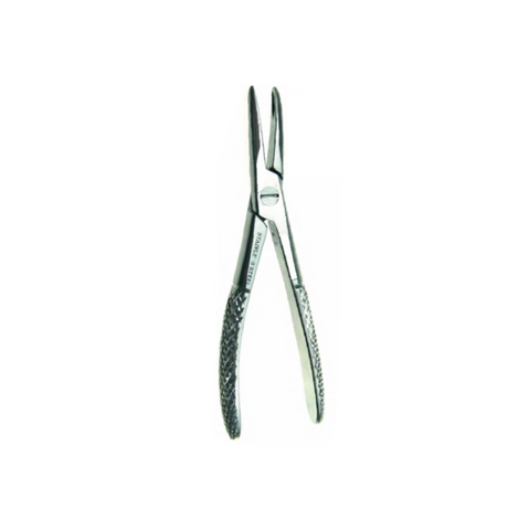 Forceps dental 12cm (gatos, etc)