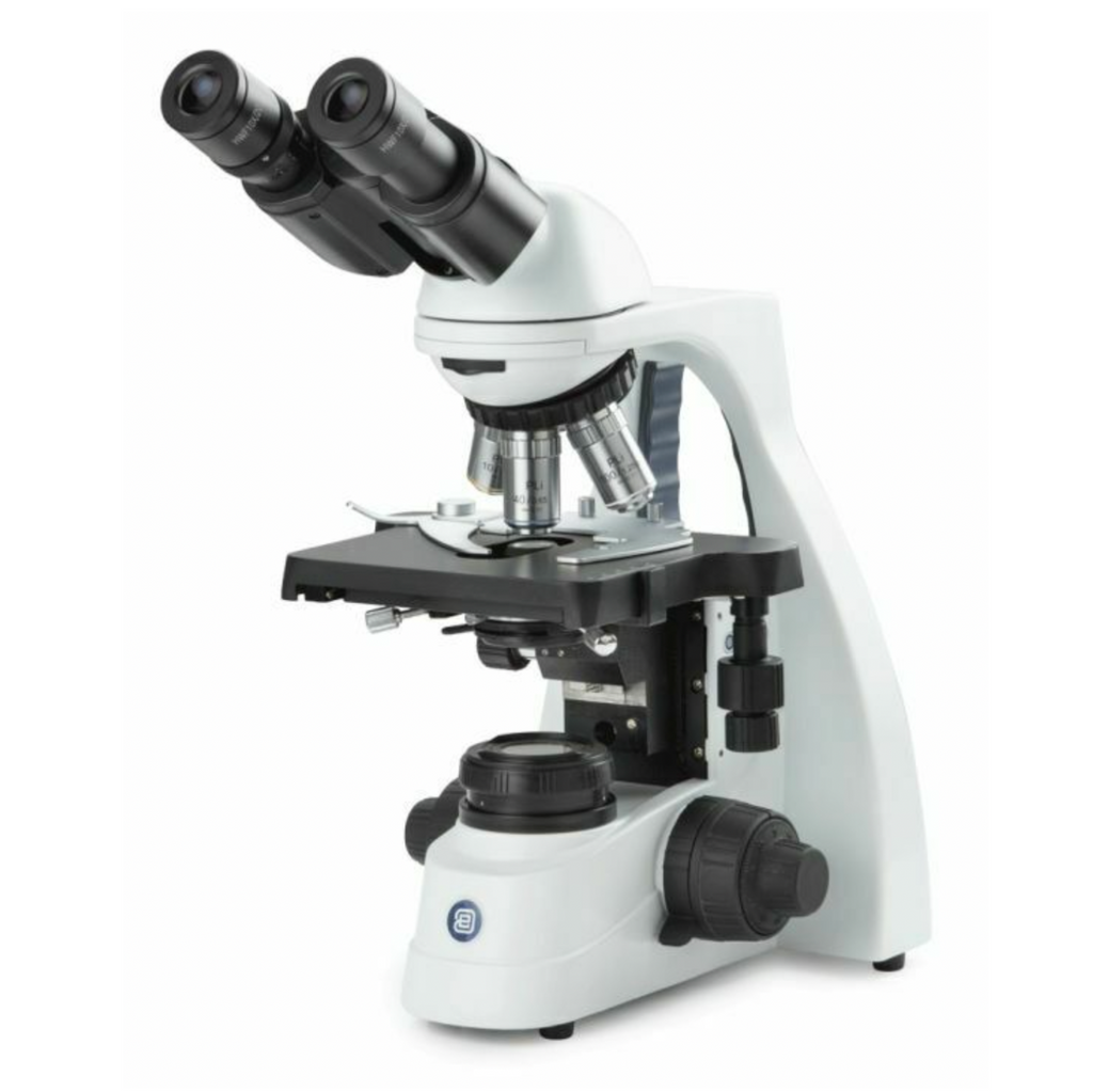 Microscopio Bscope binocular